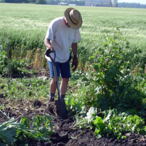 thunder-robotics-132